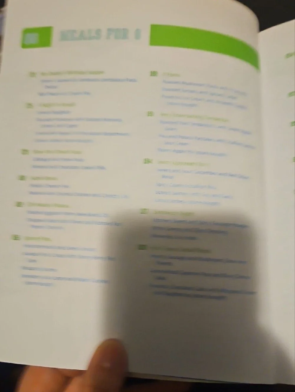 Rachael Ray Cookbook with Green Cover and Blue Title Accents